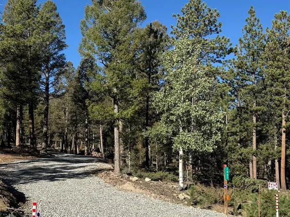 1667 Singletree Road, Hartsel, CO 80449