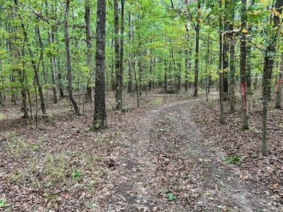0 Laurel Lake Dr, Monteagle, TN, 37356