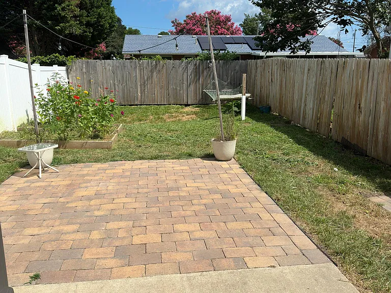 Back yard