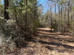 5 Jessie Stogner Rd, Sandy Hook, MS 39478