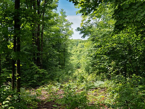3rd image of Walker Rd NW