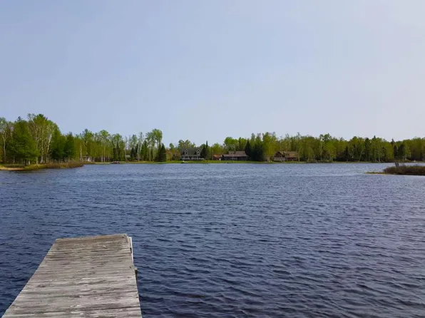 0 W Birch Shores Dr, Trout Lake, MI 49793