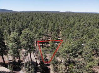 5301 S Blue Ridge Loop, Pinetop, AZ 85935