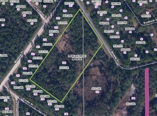 225 Lakeway Dr, Georgetown, FL 32139