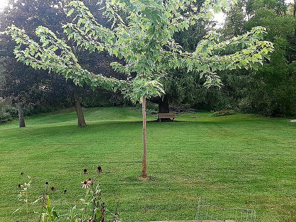 Firepit is in the lower yard