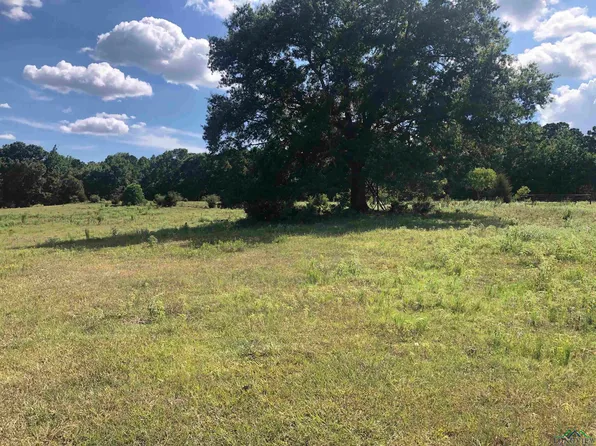 Hickey Rd, Hallsville, TX 75650