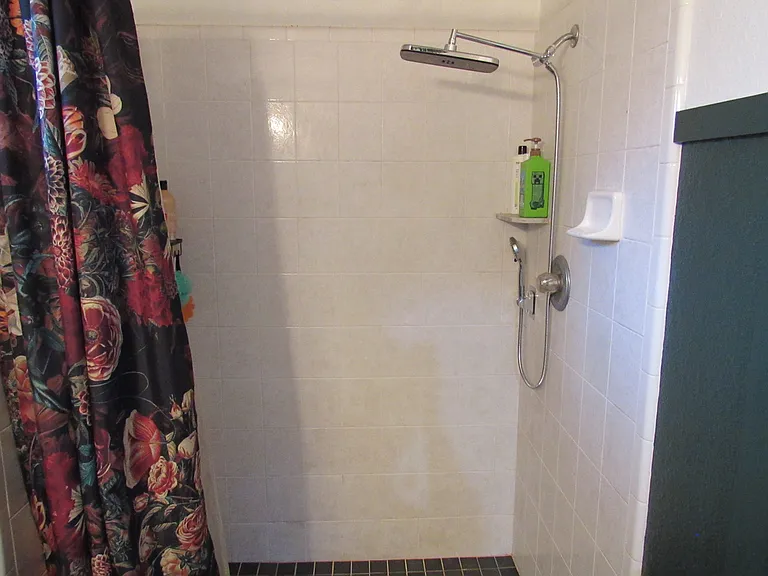 Step in shower