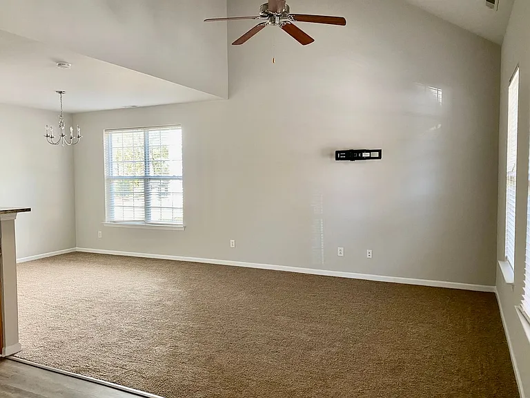 3557 Creeping Flora Ln — Photo 4
