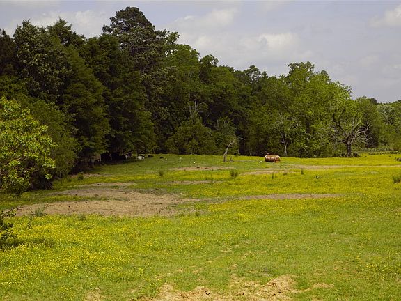 2nd image of 350 Rotan