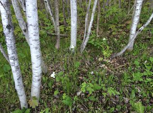 Koski Rd 2701223010, Bessemer Township, MI 49959