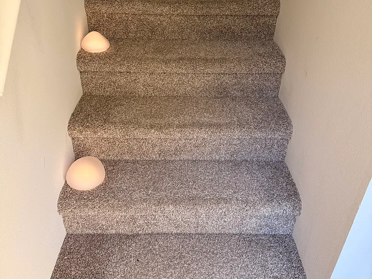 Steps to Main Floor