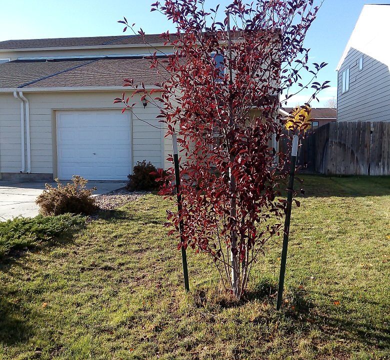 Front view -1
