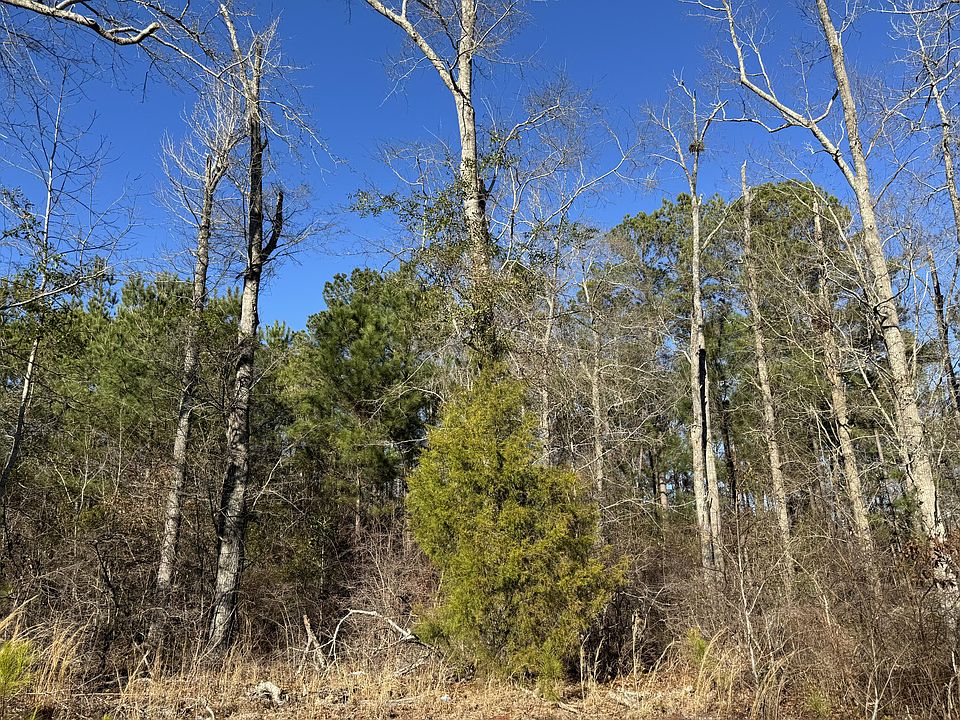 2nd image of 347 River Ridge Dr