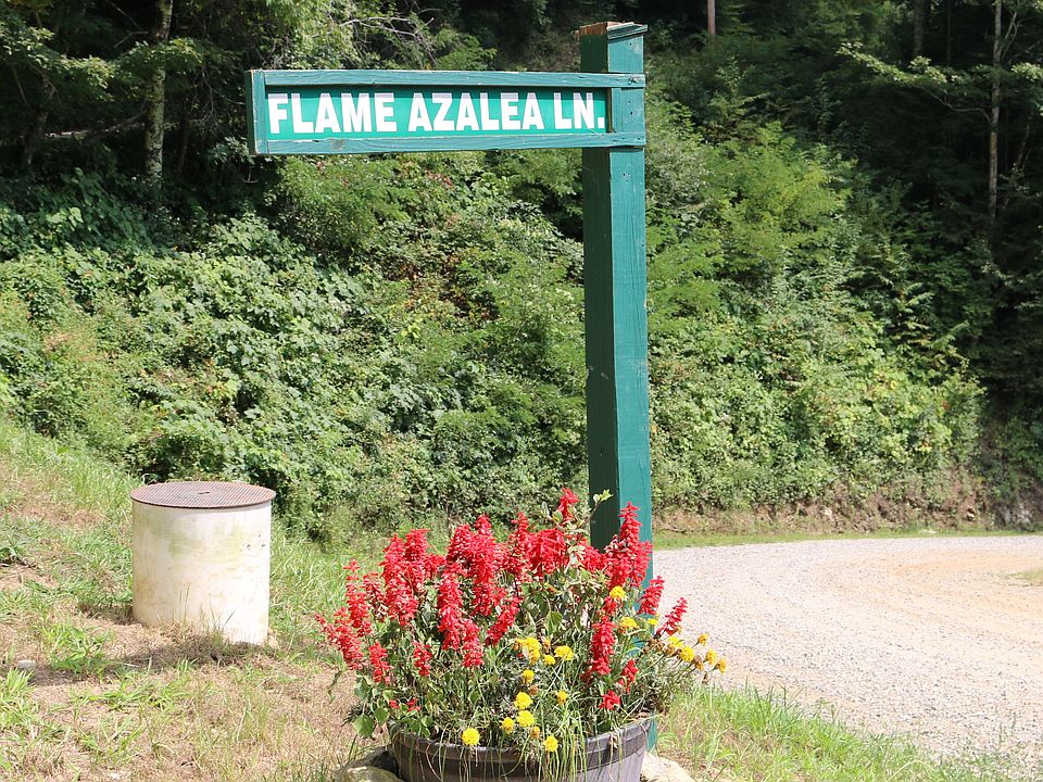 1st image of Flame Azalea Lot 111