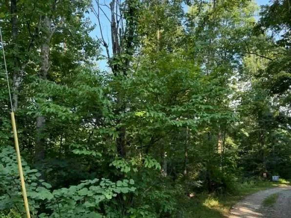 LOT 15 Malone Ridge Rd, Albany, KY 42602