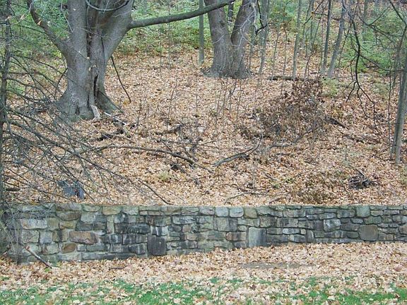 Back Yard Wall