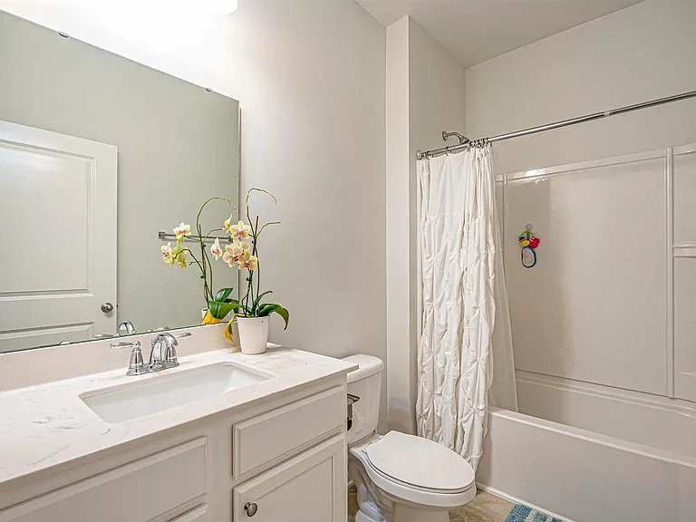 161 Mountain Ash Ln — Photo 8
