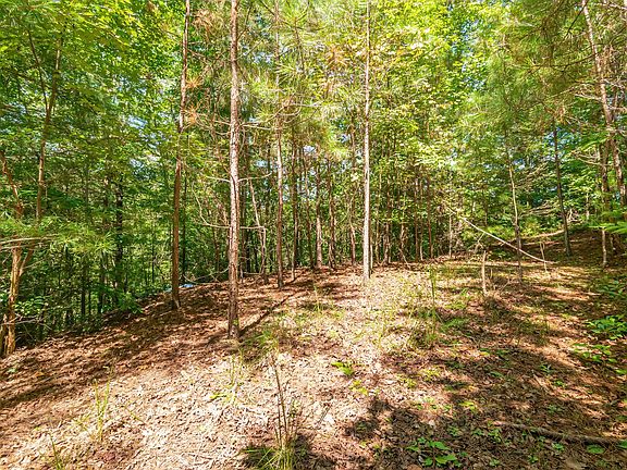 4th image of 2.59 Mountain Creek Hollow Dr