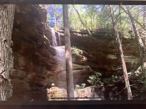 Bear Hollow Rd, Oneida, TN 37841