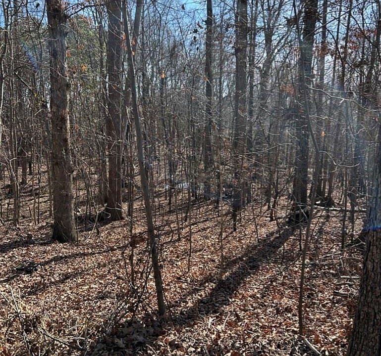 1st image of 0 Alfred Ln