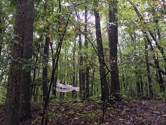5th image of Tbd Round Hill School Rd