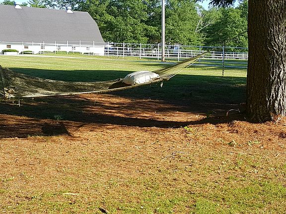 Hammock near pond
