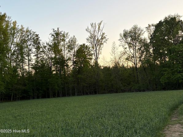 Off Speights Chapel Road, Whitakers, NC 27891