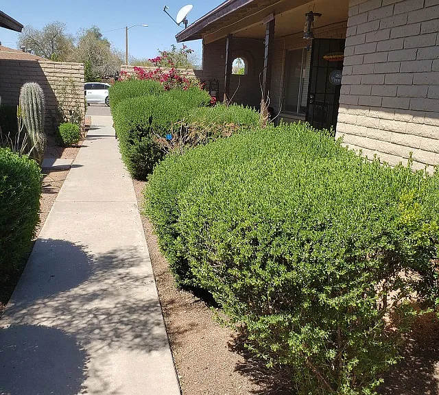 18041 N 40th Pl — Photo 10