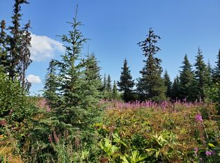 5800 Clearwater Dr, Homer, AK 99603