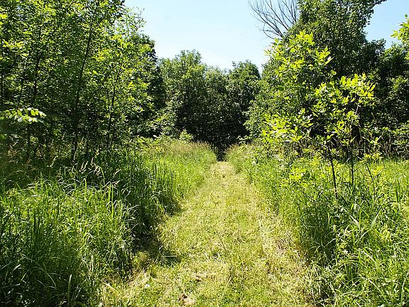 Path to Rum River