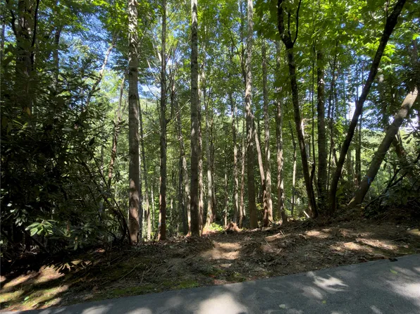 67 Willow Court, Sapphire, NC 28774