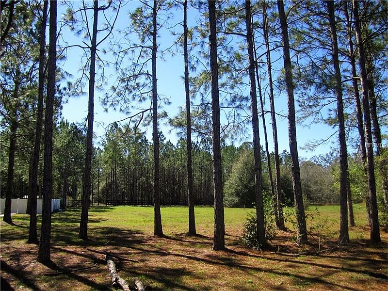 2nd image of 2417 Montana Pines Ct