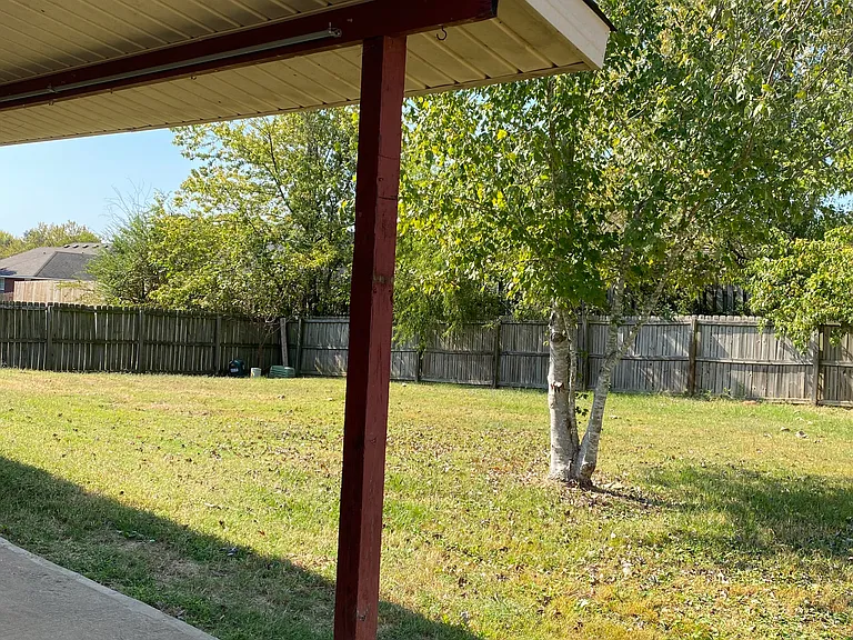 Backyard View