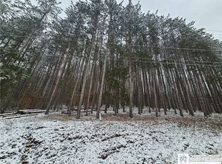 Butternut Brook Rd LOT 5, Portville, NY 14770