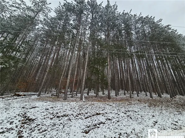 Butternut Brook Rd Lot 5, Portville, NY 14770