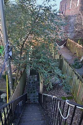 Rented by Corcoran | media 20