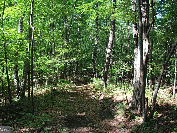 5th image of Naked Creek Rd