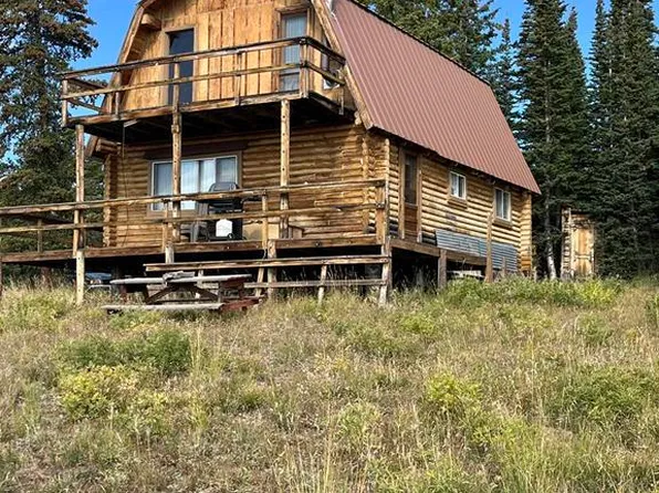 255 Fossil View Road, Pitkin, CO 81241