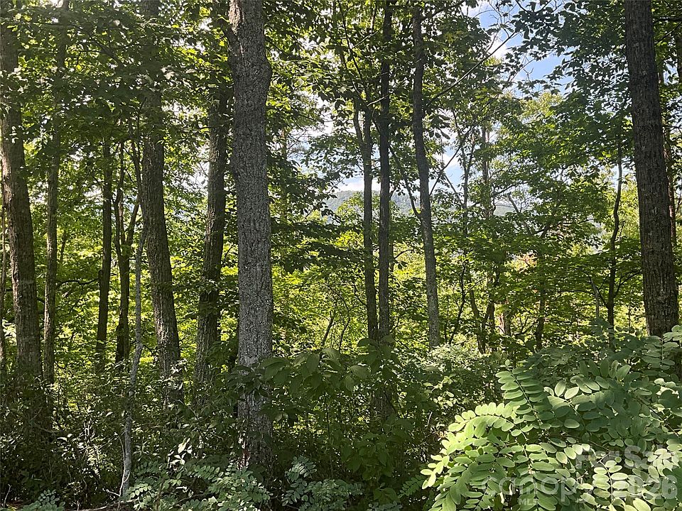 1st image of LOT 67 Treetops Ln