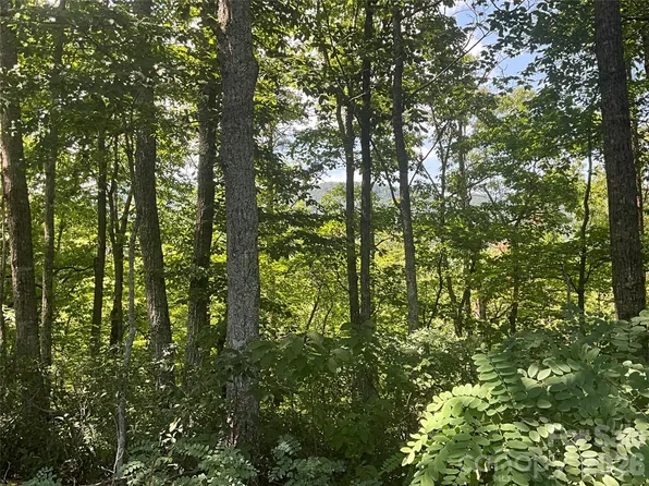 LOT 67 Treetops Ln, Lake Lure, NC 28746