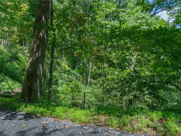 TBD Stonegate Lane, Creston, NC 28615