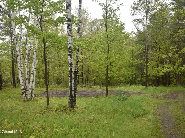 L2 Posson Hill Road, Middleburgh, NY 12122