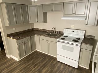 157 E 3rd St UNIT 3, Manteno, IL 60950