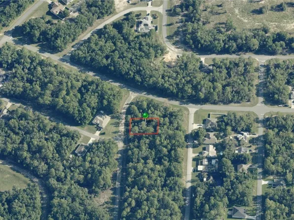 11395 N Cathy Ter, Citrus Springs, FL 34434