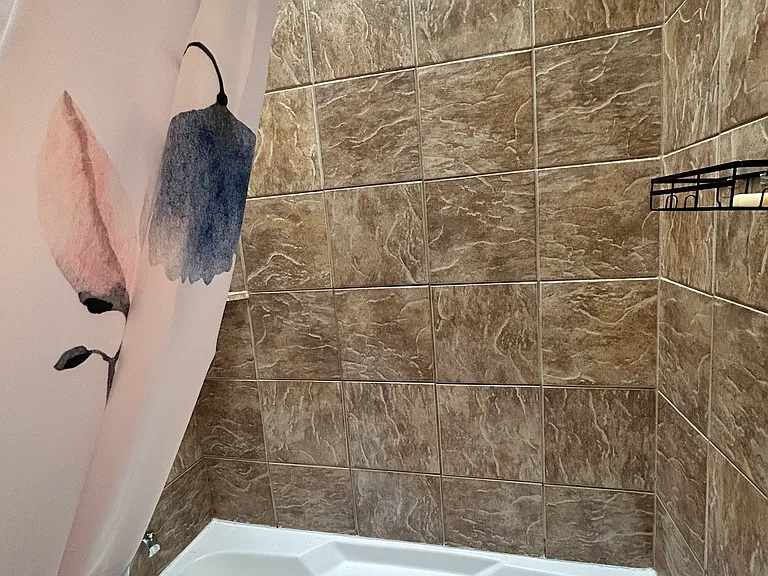 Master shower has skylight