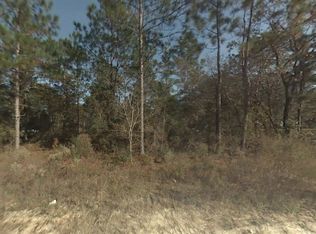 SW 167th Ave LOT 2, Ocala, FL 34481
