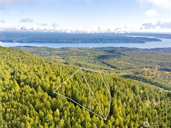 1350 N Hilltop Loop Road, Hoodsport, WA 98548