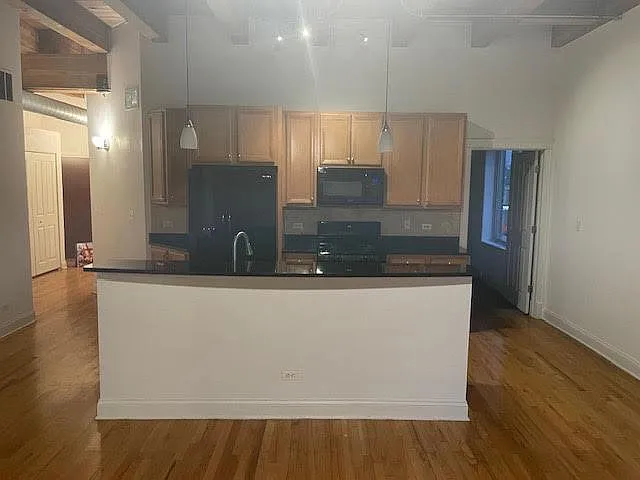 500 N Damen Ave #205 — Photo 3