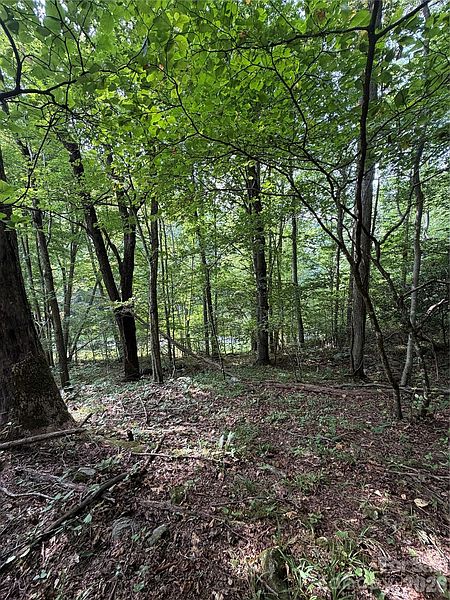 Property photo 44