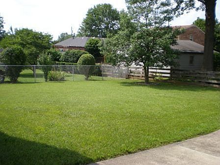 Beautiful lawn in fenced backyard